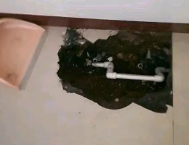 桐梓卫生间测漏水多少钱